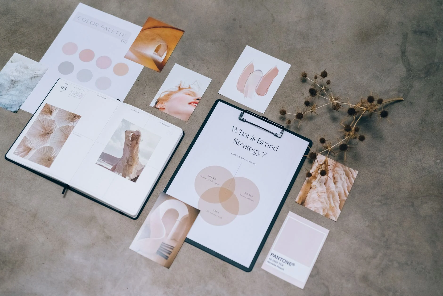 web design studio branding